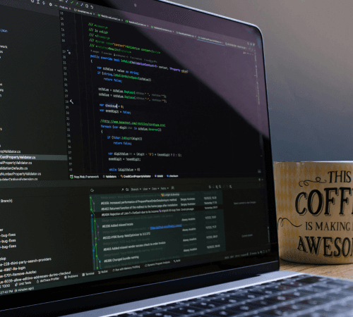 Magento Development Services in Turkey