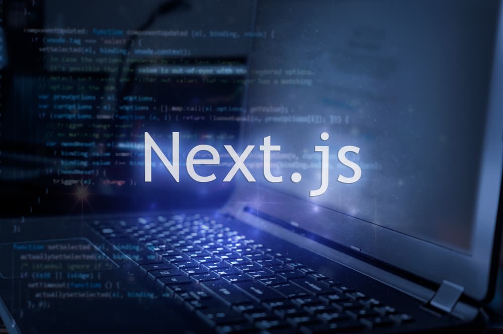 Next Js Development Services