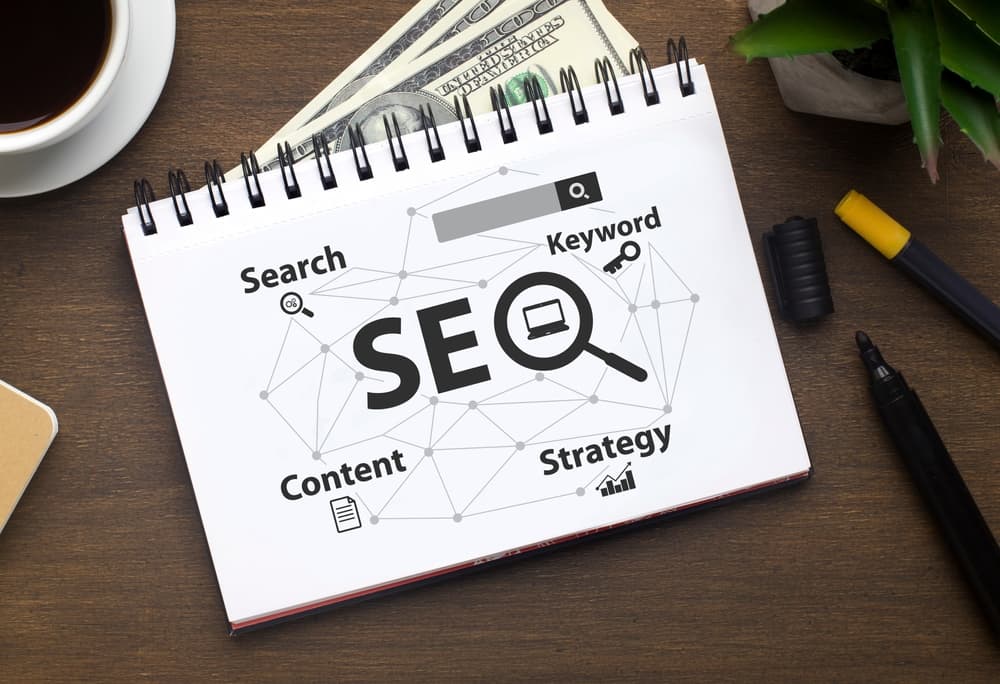 Search Engine Optimization (SEO) in Netherland
