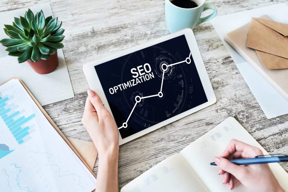 Search Engine Optimization (SEO) in Netherland